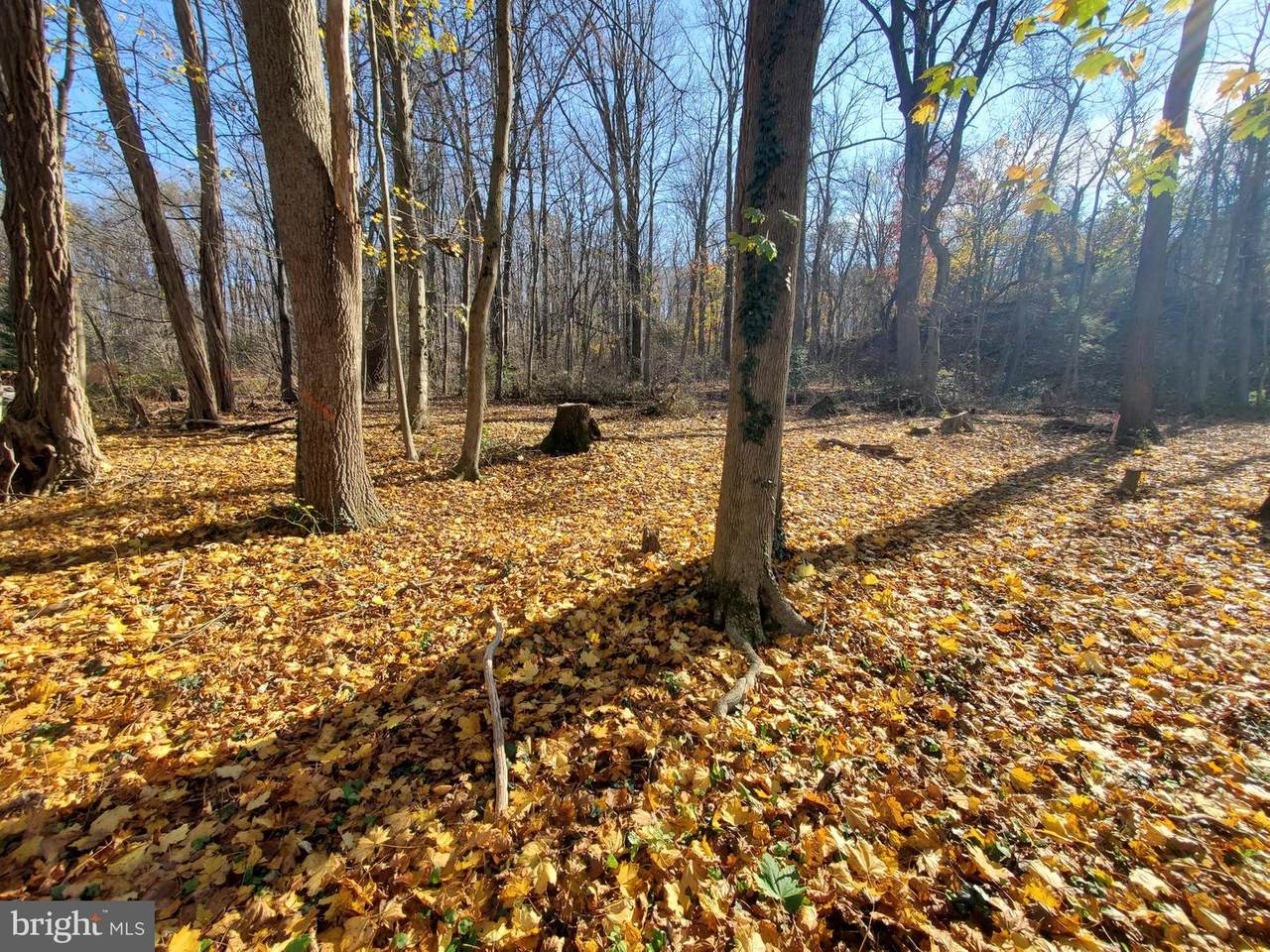 102 Chestnut Street - Photo 1