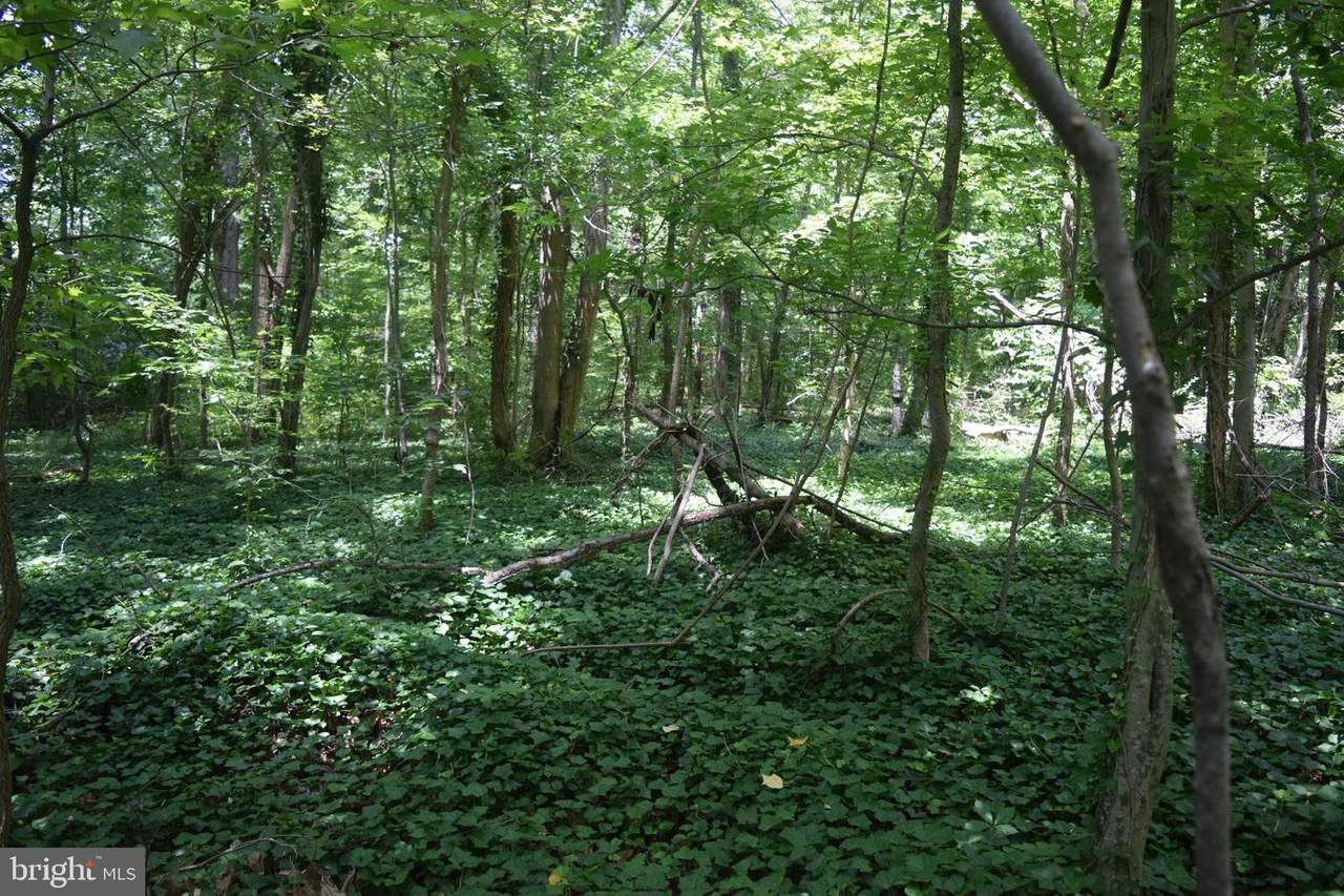 1222 Marlboro Road - Photo 1