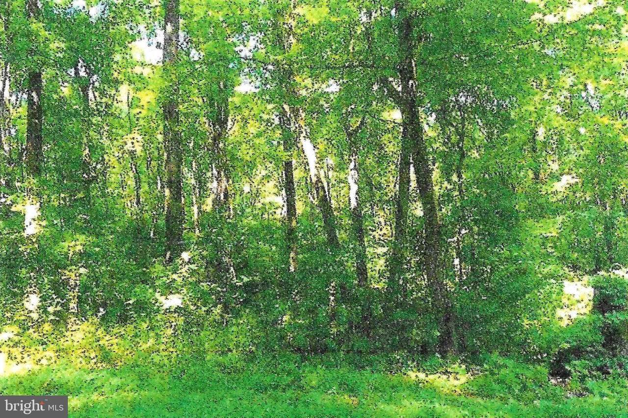 0 Old State Road - Photo 1