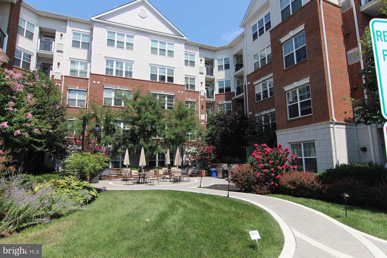 350 Elm Street - Photo 1