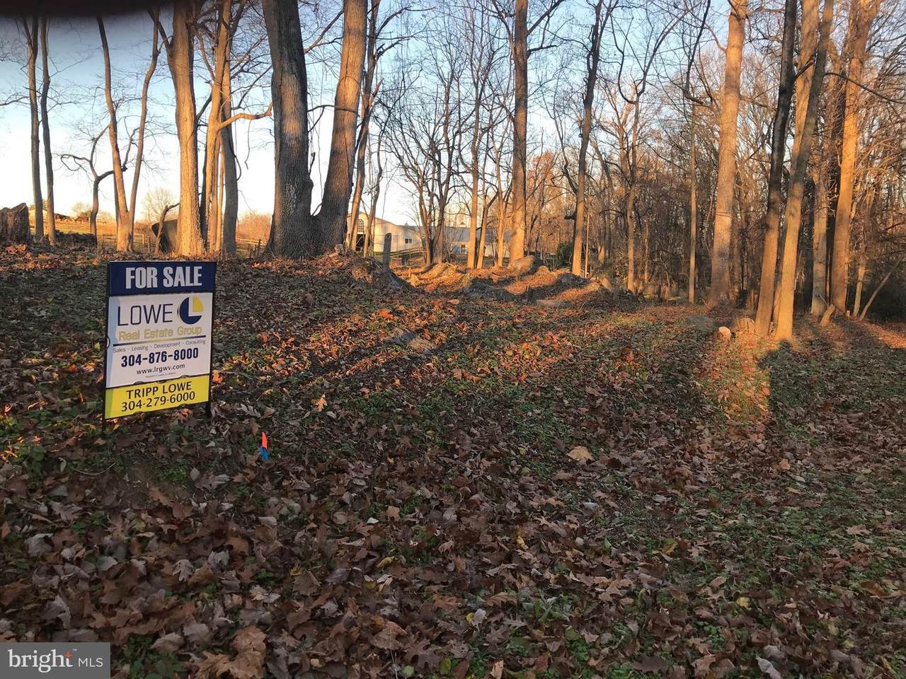 Lot # 9 Hackberry Circle - Photo 1