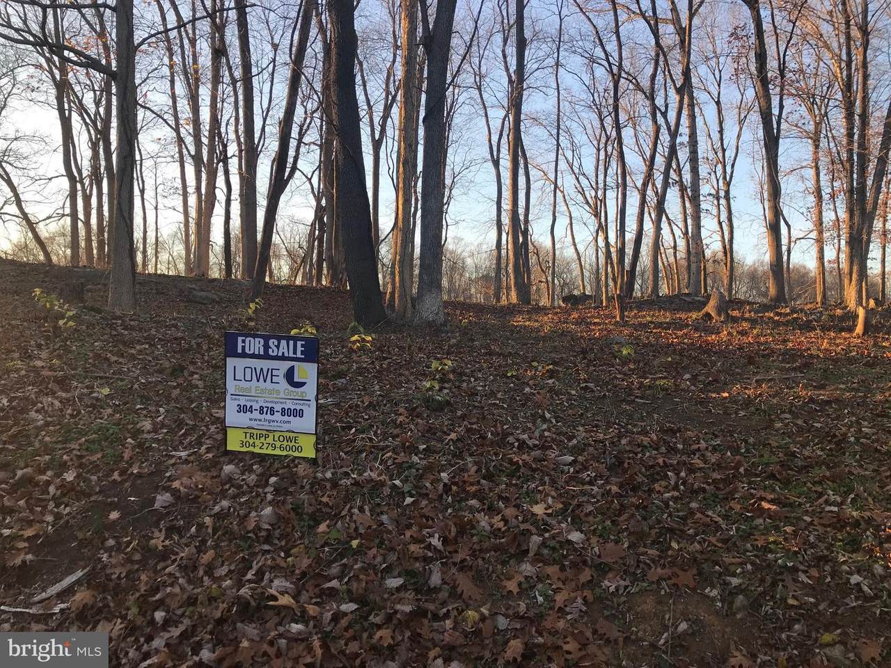 Lot # 10 Hackberry Circle - Photo 1