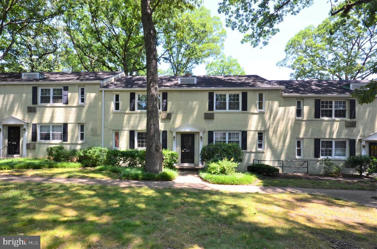 203 Trenton Street - Photo 1