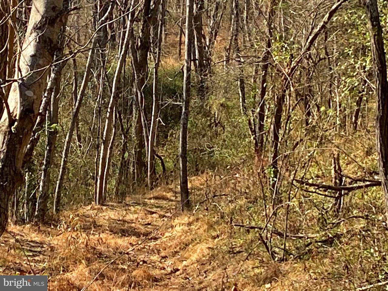 Hickory Corner Road - Photo 1