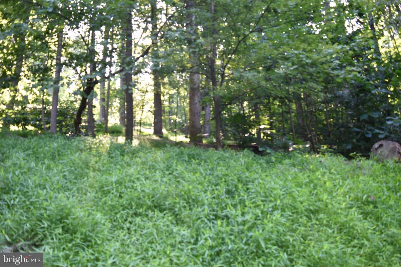 Lot 34 Massanutten Mountain - Photo 1