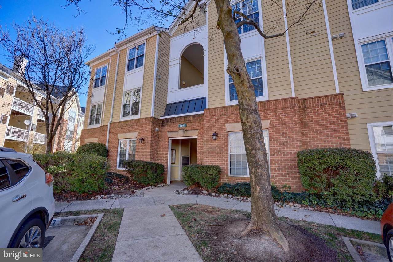 2101 Highcourt Lane - Photo 1