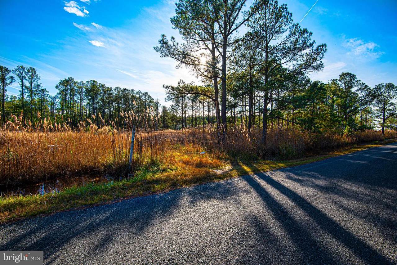 30219 Marumsco Rd - Photo 1
