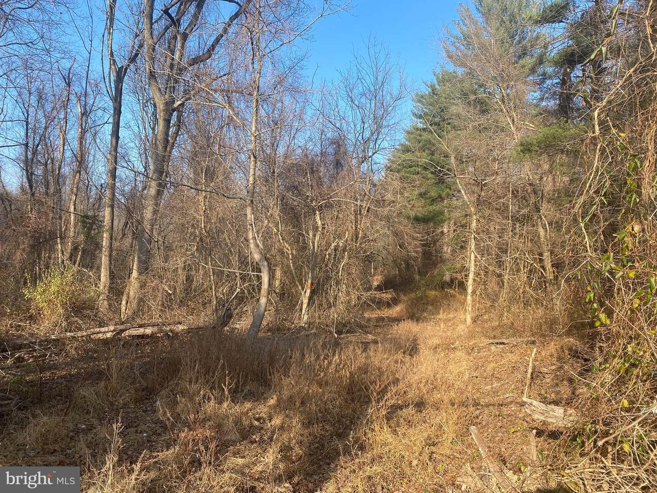 3727 Gregg Road - Photo 1