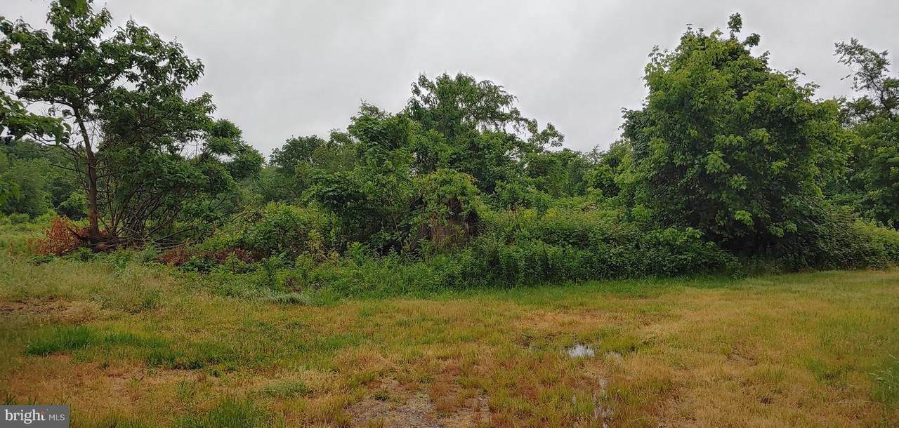 1300 Jacksonville Smithville Road - Photo 1