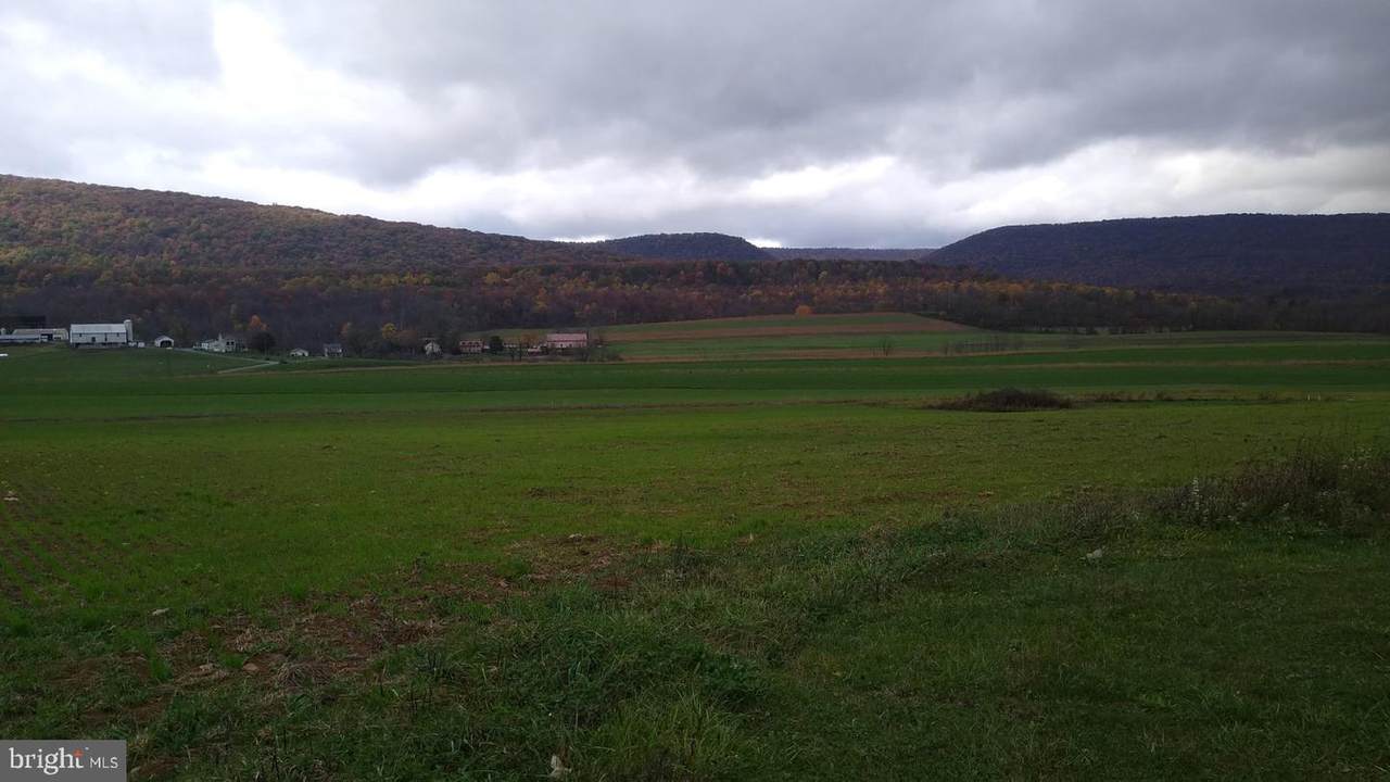 Lot 7 Muddy Run Road - Photo 1