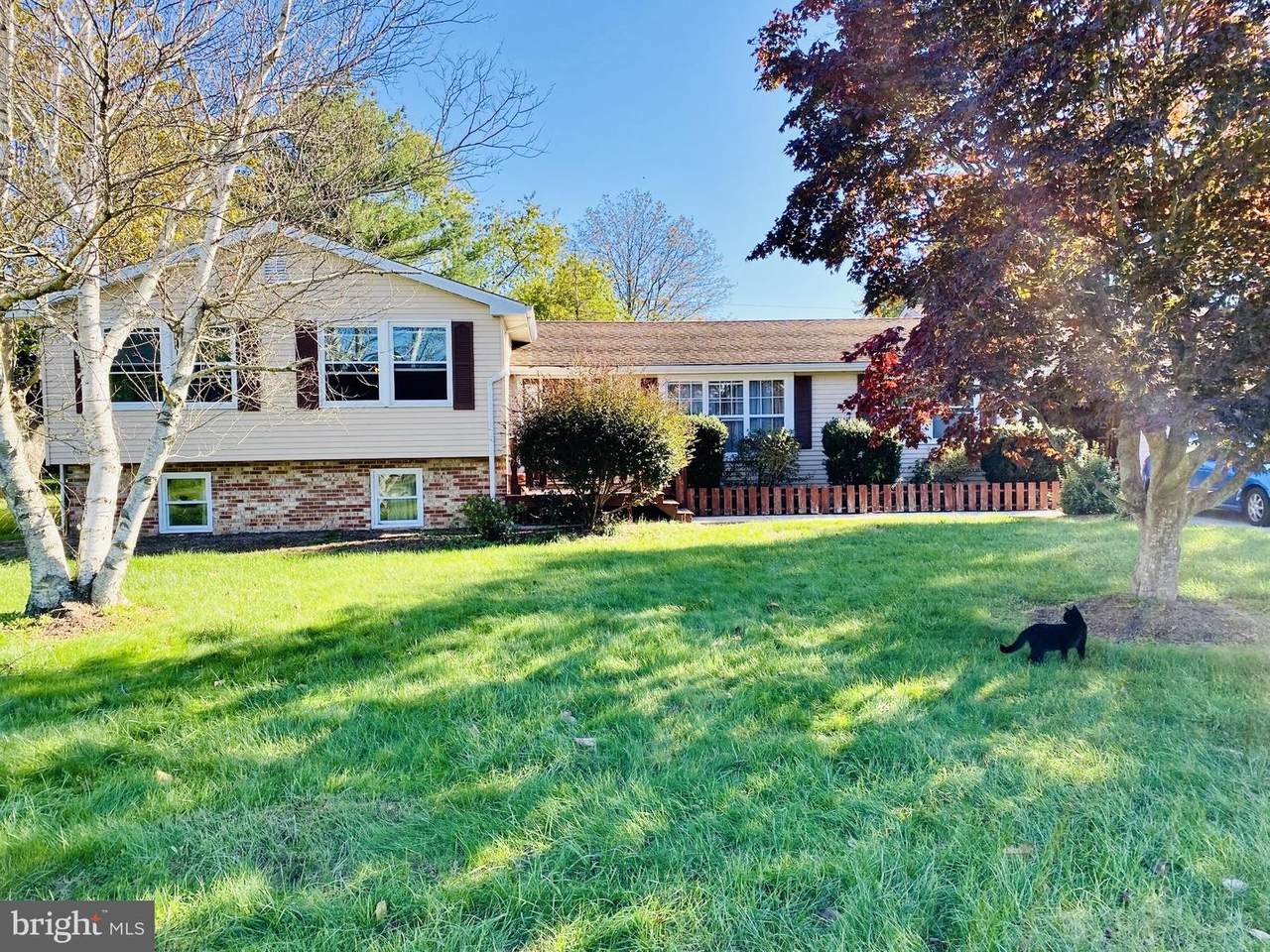 34336 Beech Drive - Photo 1