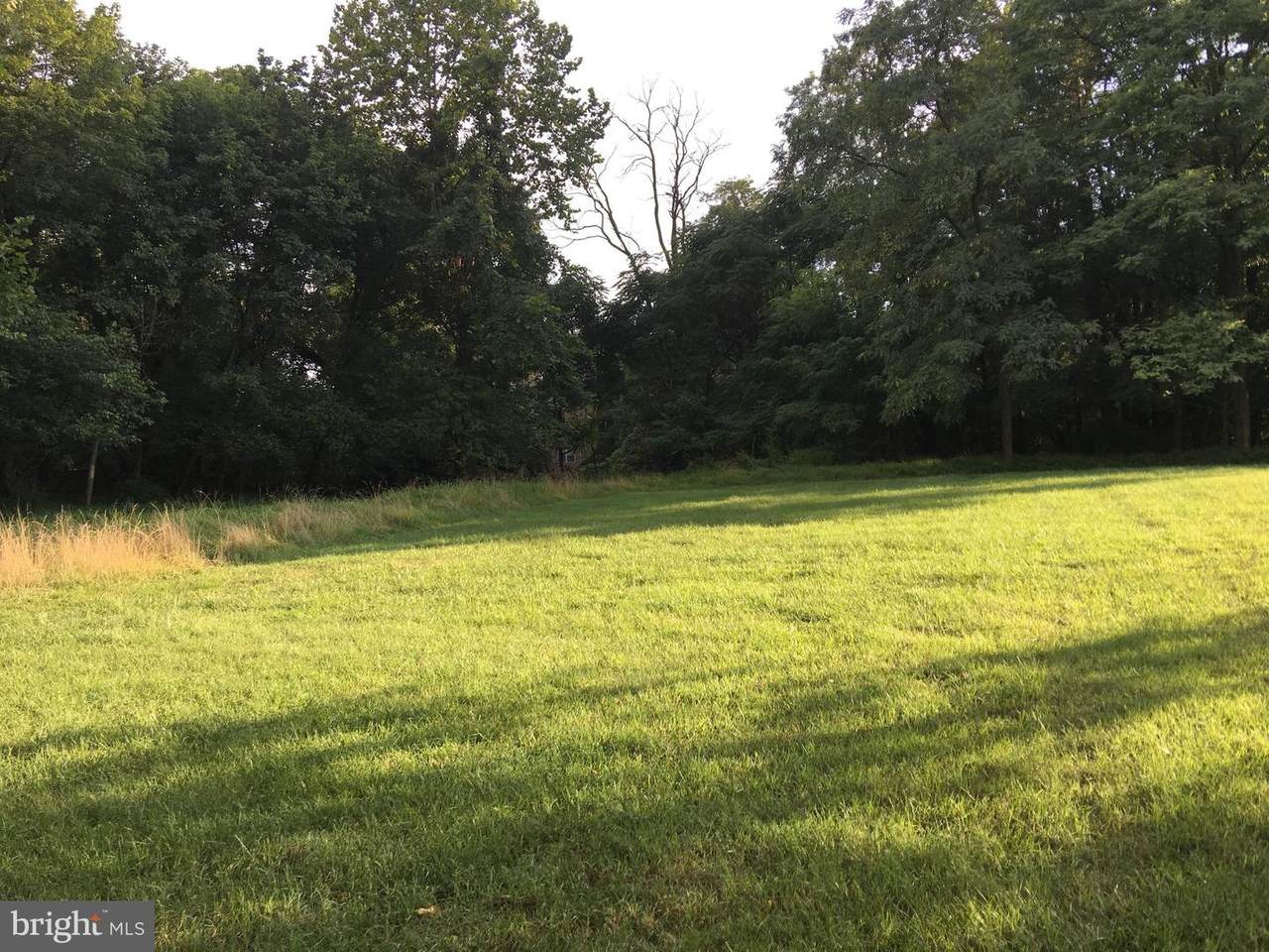 Stewart Lane - Photo 1