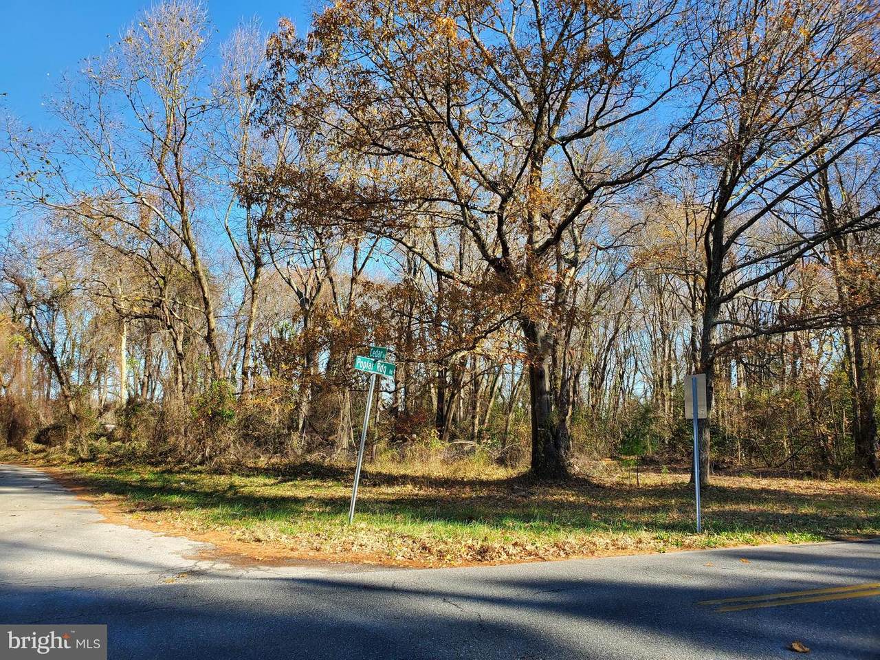 Poplar Ridge Road - Photo 1