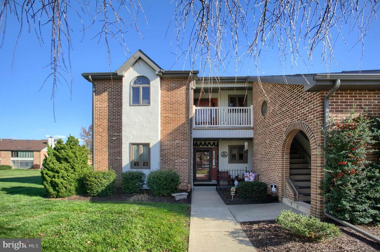 50 Black Oak Drive - Photo 1