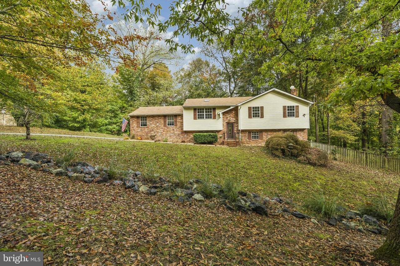 8711 Limerick Lane - Photo 1