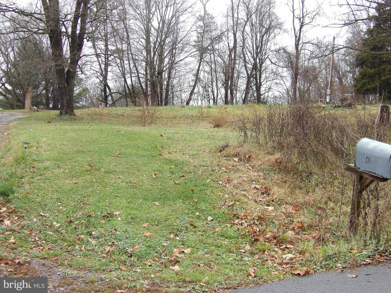 41 Henson Boulevard - Photo 1