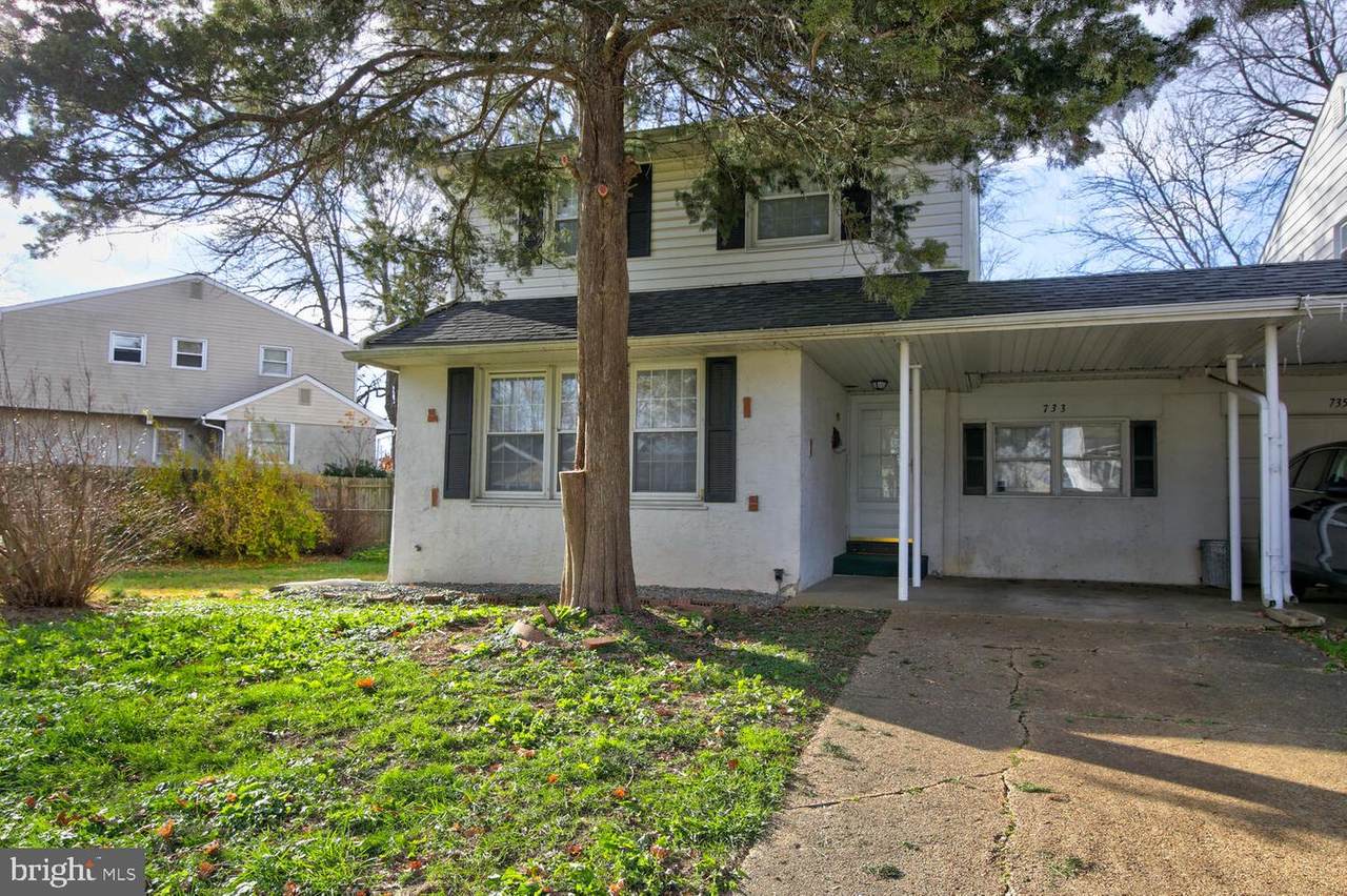 733 Birchtree Lane - Photo 1