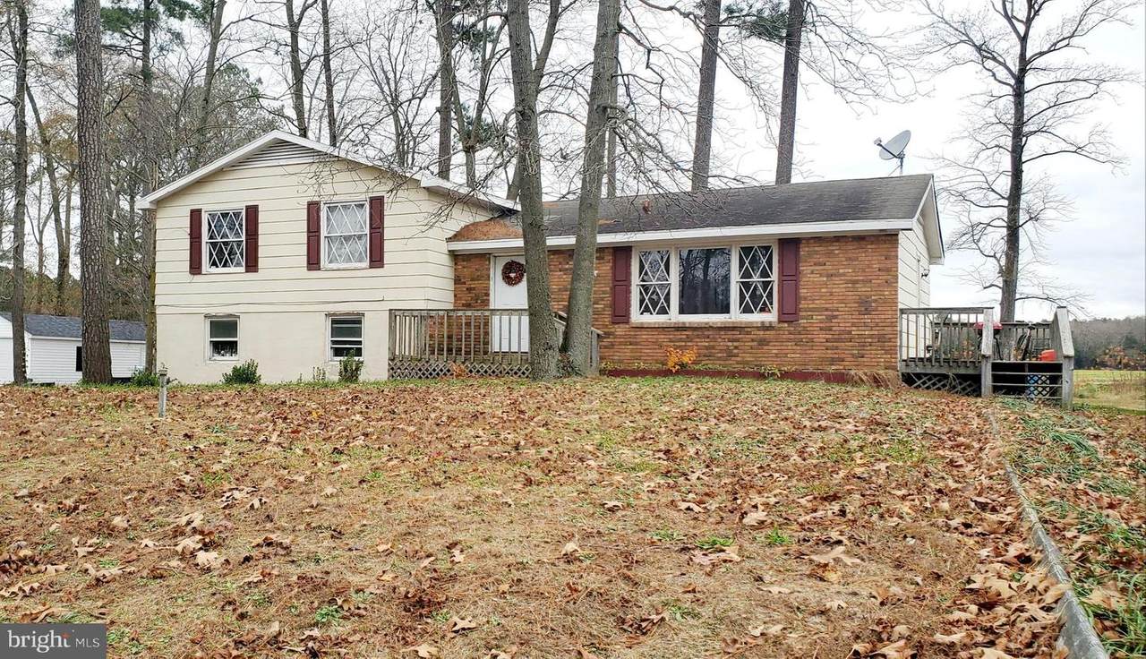 33260 Dagsboro Road - Photo 1