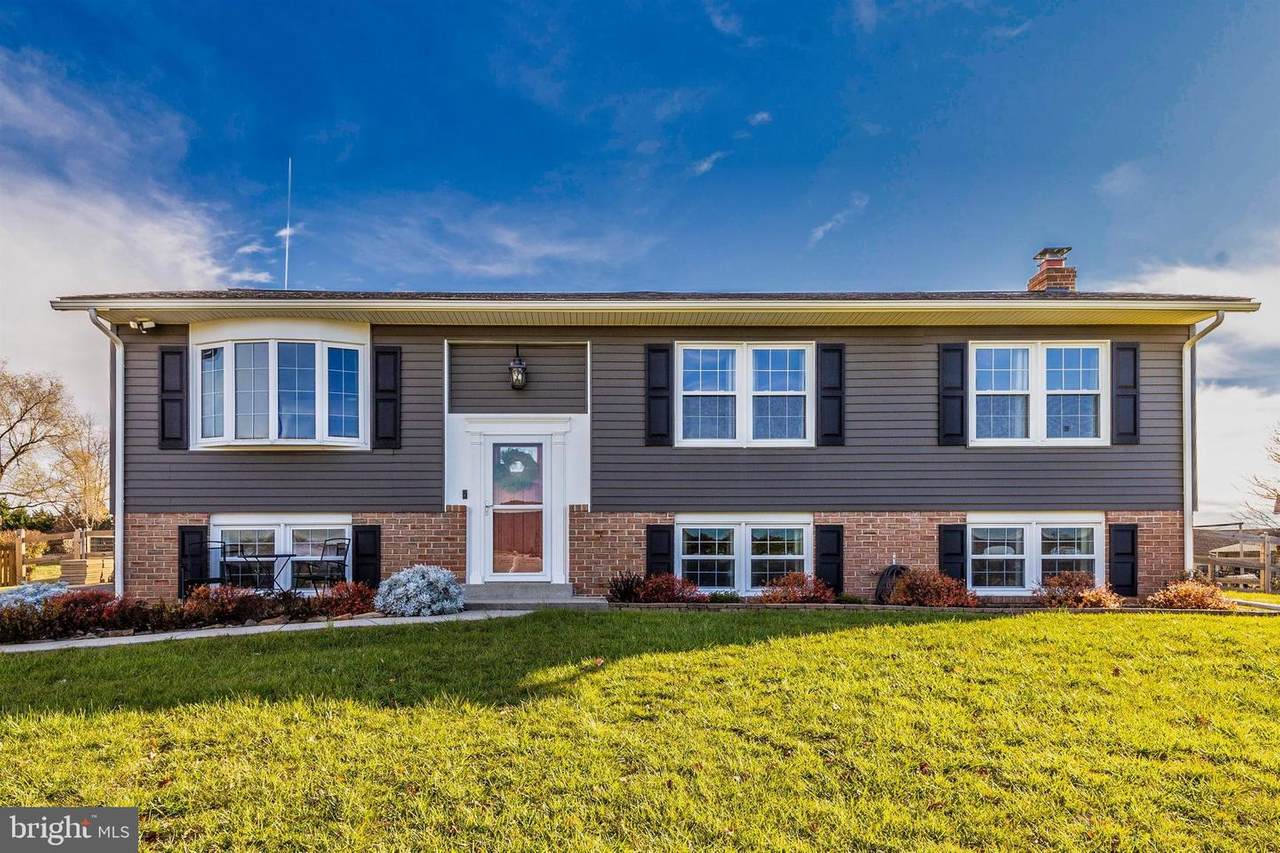 10087 Quail Knob Lane - Photo 1