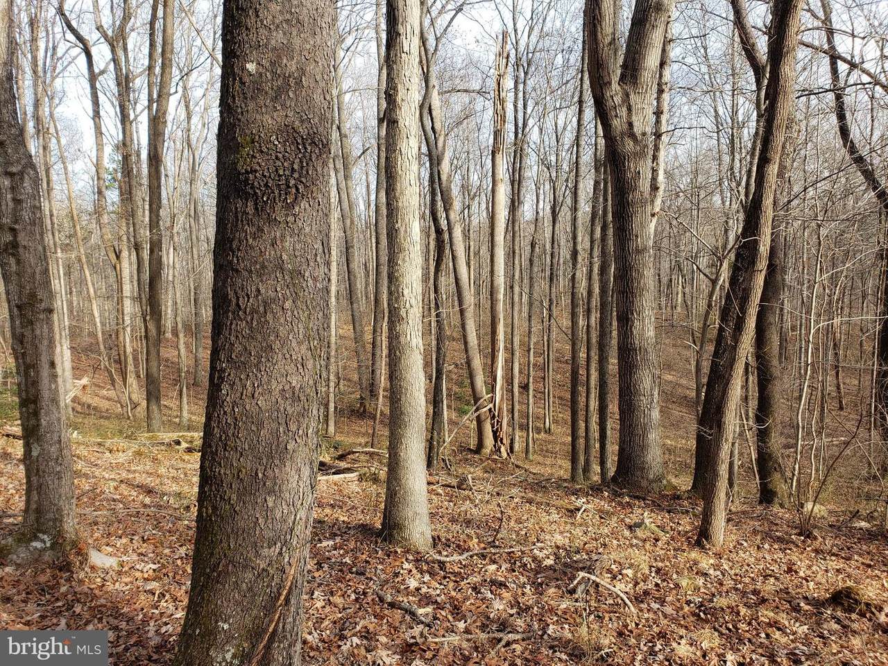 Sperryville - Photo 1