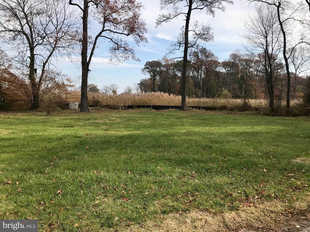 Willow Avenue - Photo 1