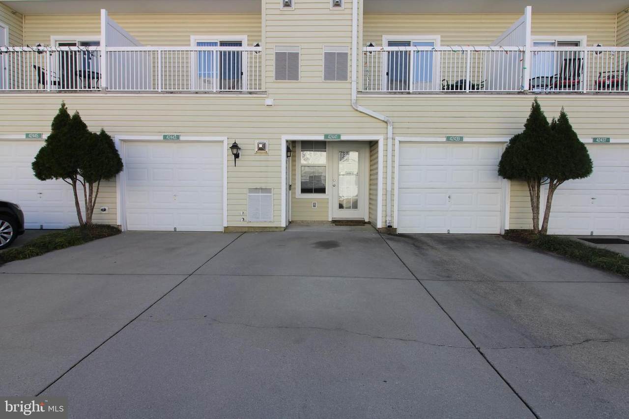 42441 Rockrose Square - Photo 1