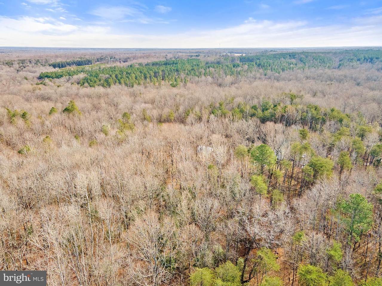 6021 Black Snake Court - Photo 1