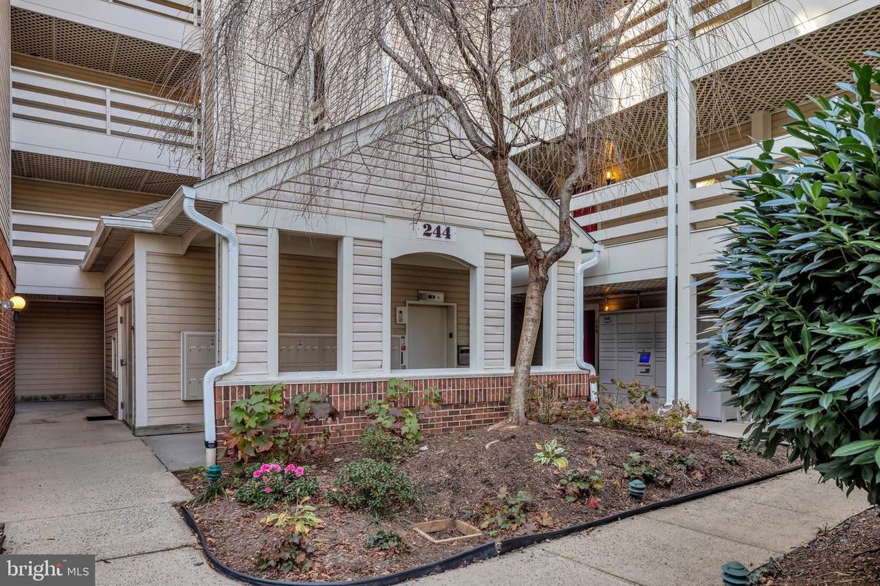 244 Reynolds Street - Photo 1