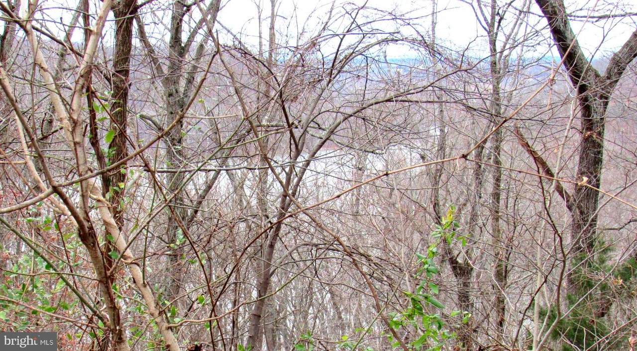 47 Freedoms Way - Photo 1