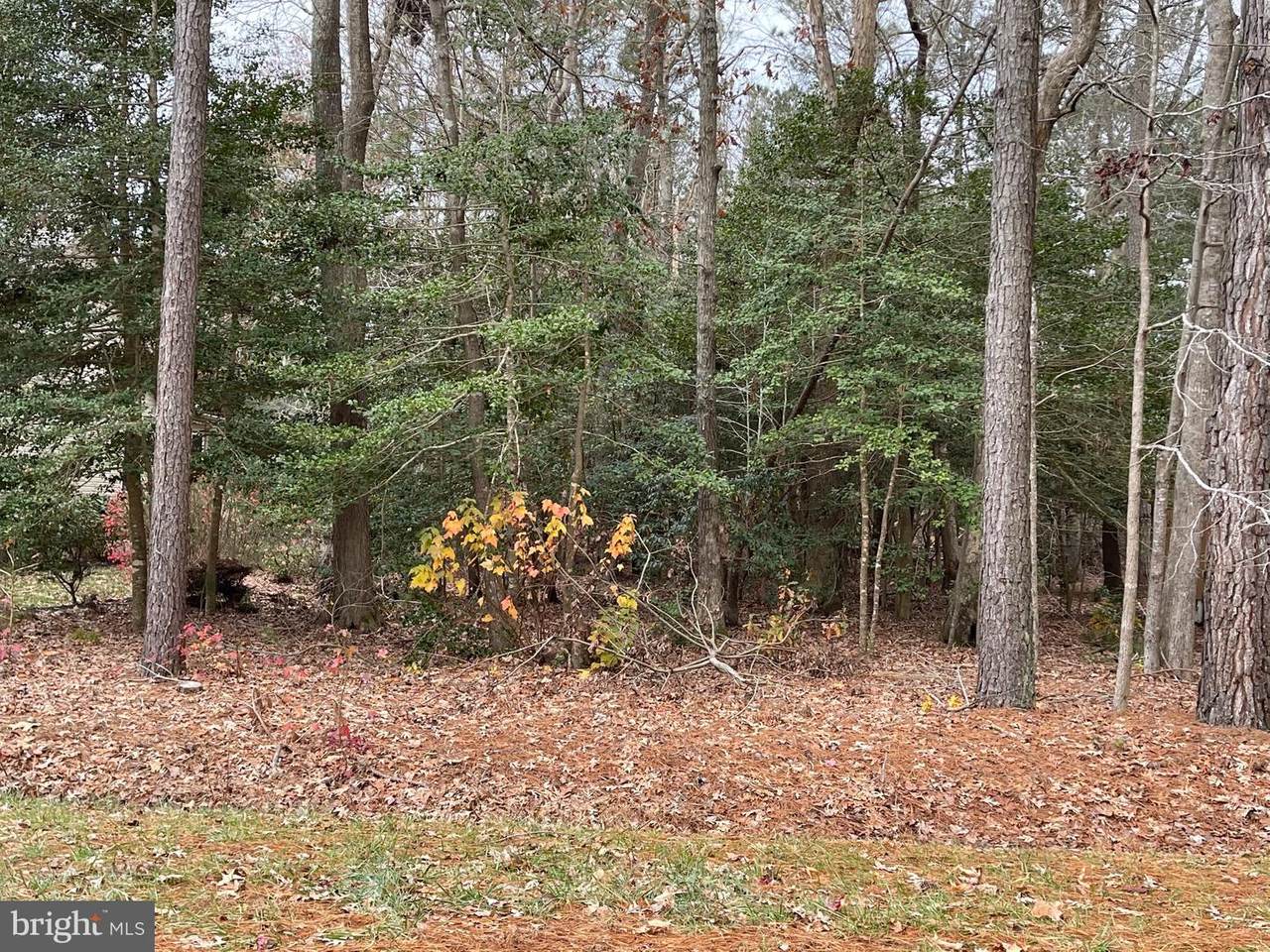 69 High Sheriff Trail - Photo 1