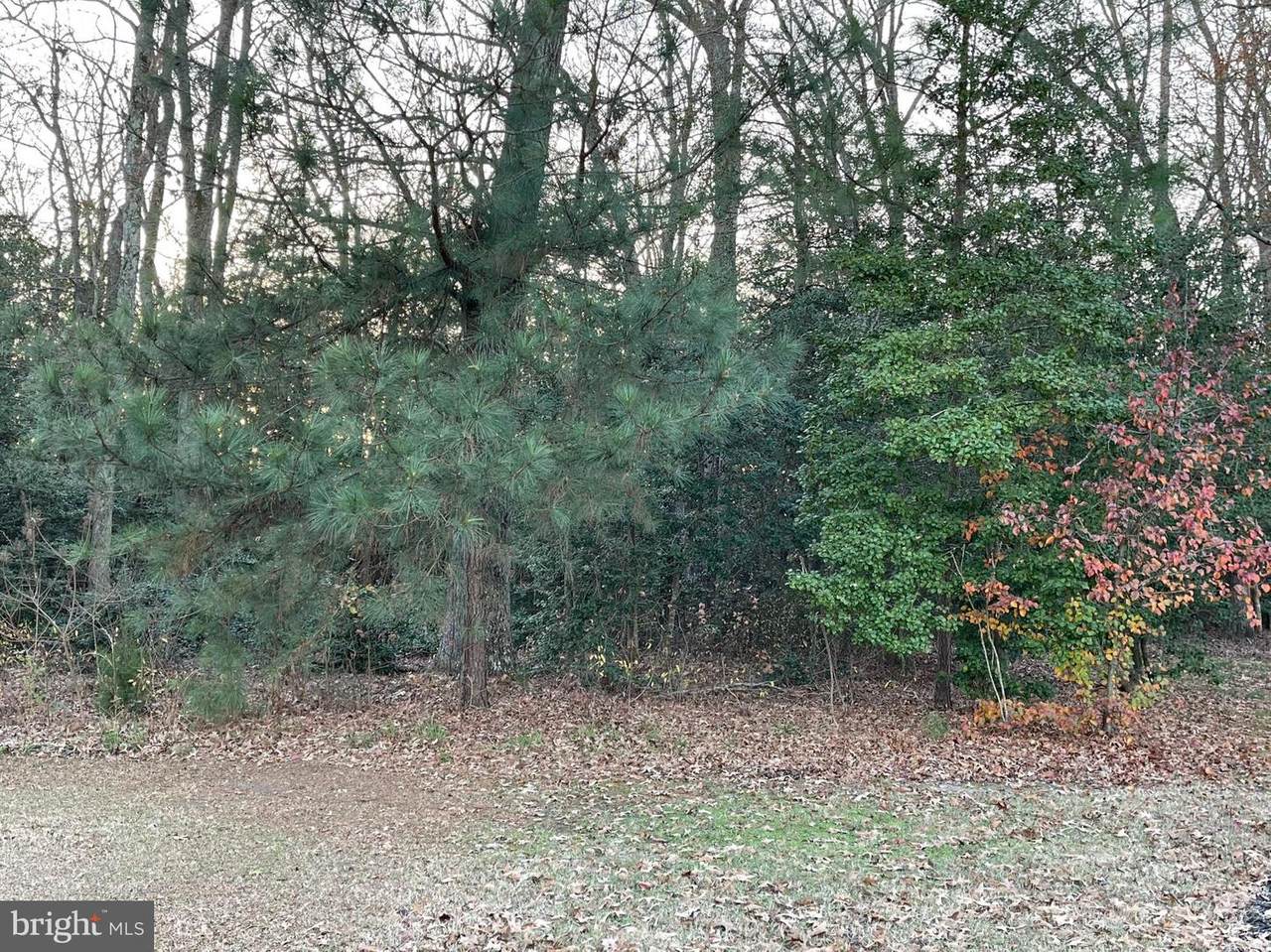 0 Arrowwood Court - Photo 1