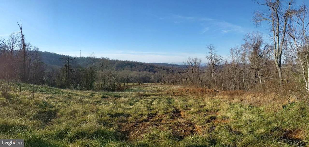 Lot 11B Winona Drive - Photo 1
