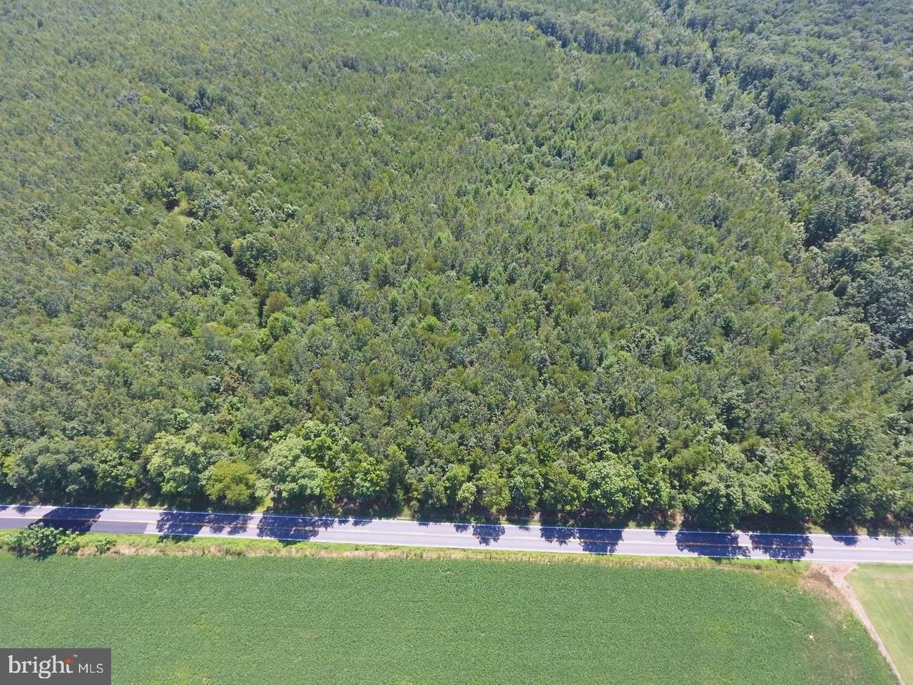 Old Plank Road - Photo 1