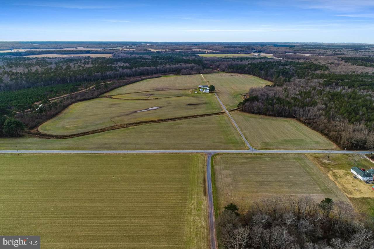 12124 Adamsville Road - Photo 1