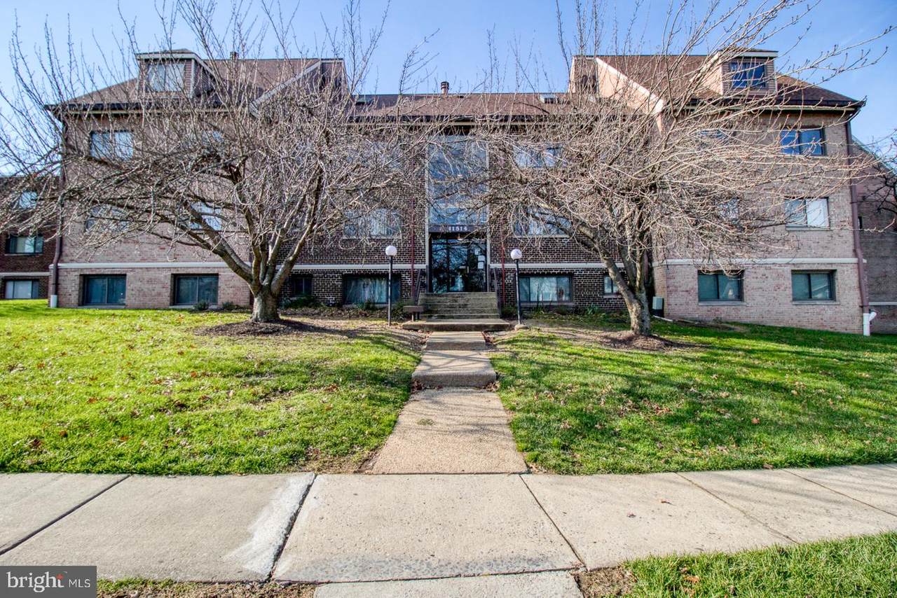 11514 Bucknell Drive - Photo 1