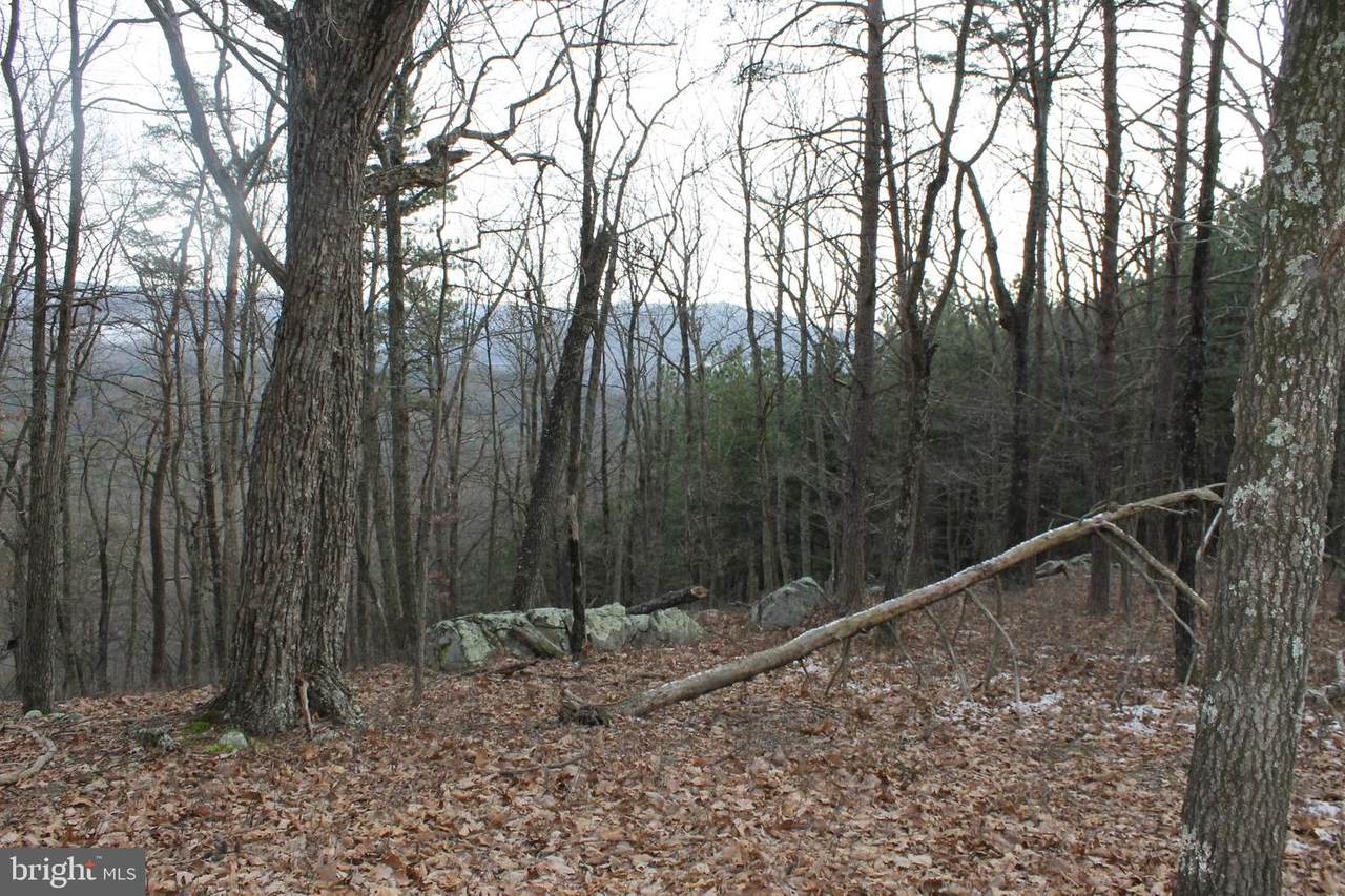Lot 37 Ashton Woods Drive - Photo 1