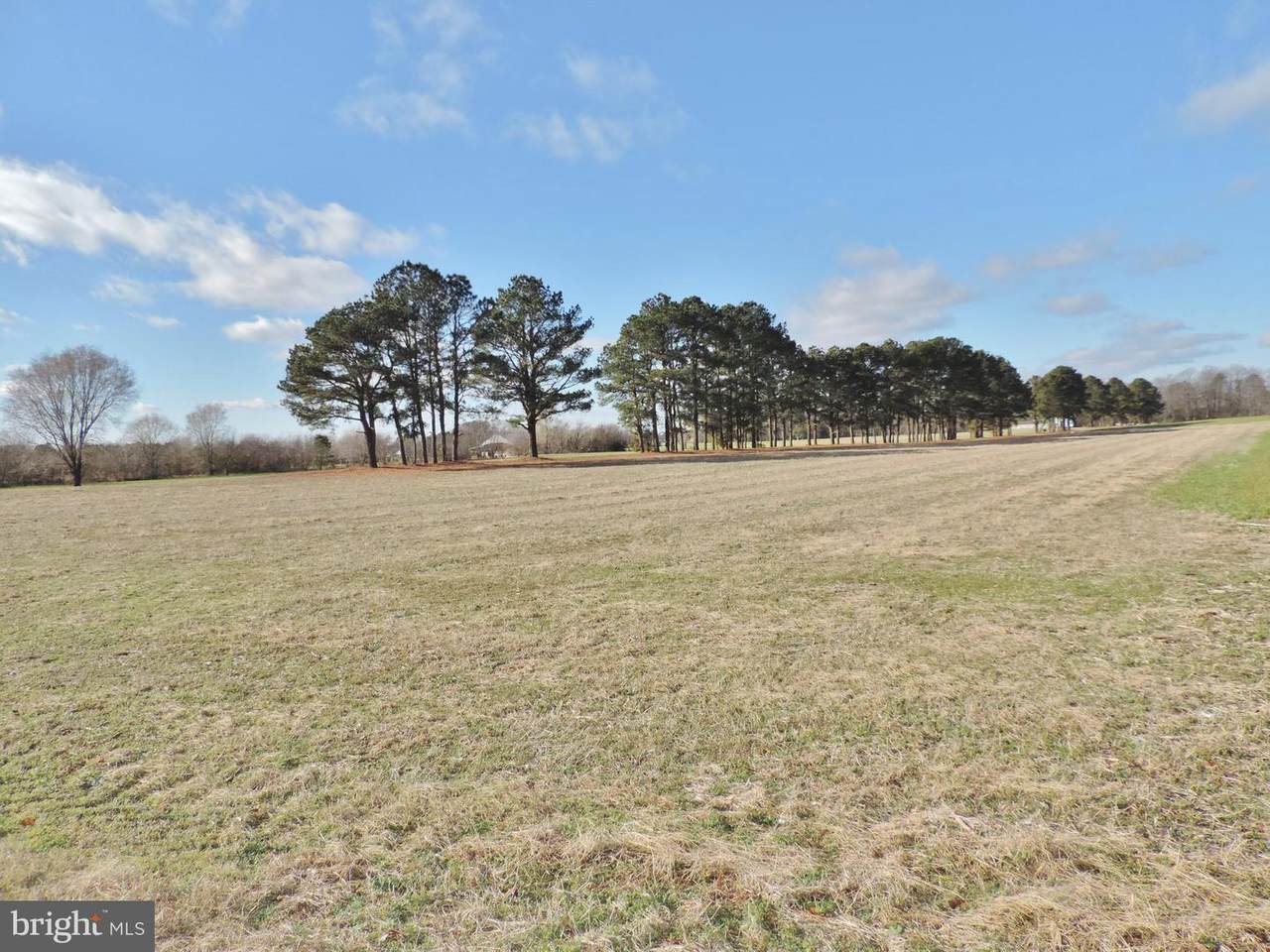 Lot 1 Athol Road - Photo 1