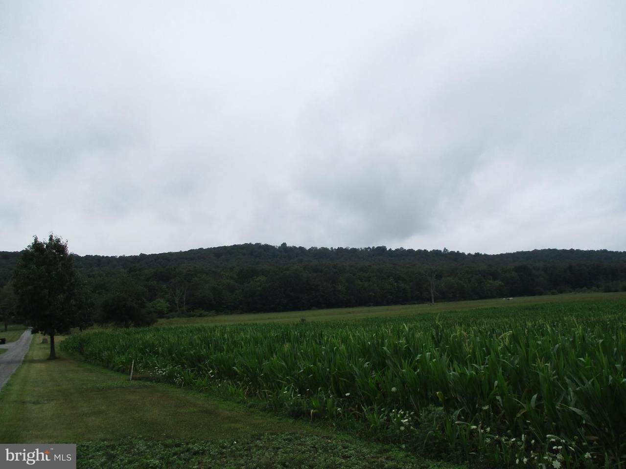 5189 Half Moon Valley Road - Photo 1