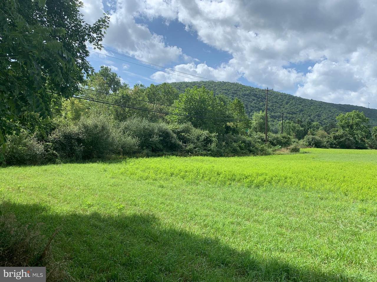 Route 220 and Pine S Route 220 And Pine Swamp Road - Photo 1