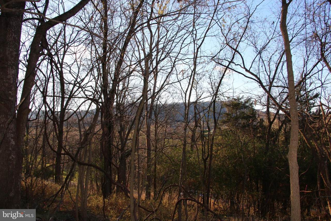 Luray Avenue - Photo 1