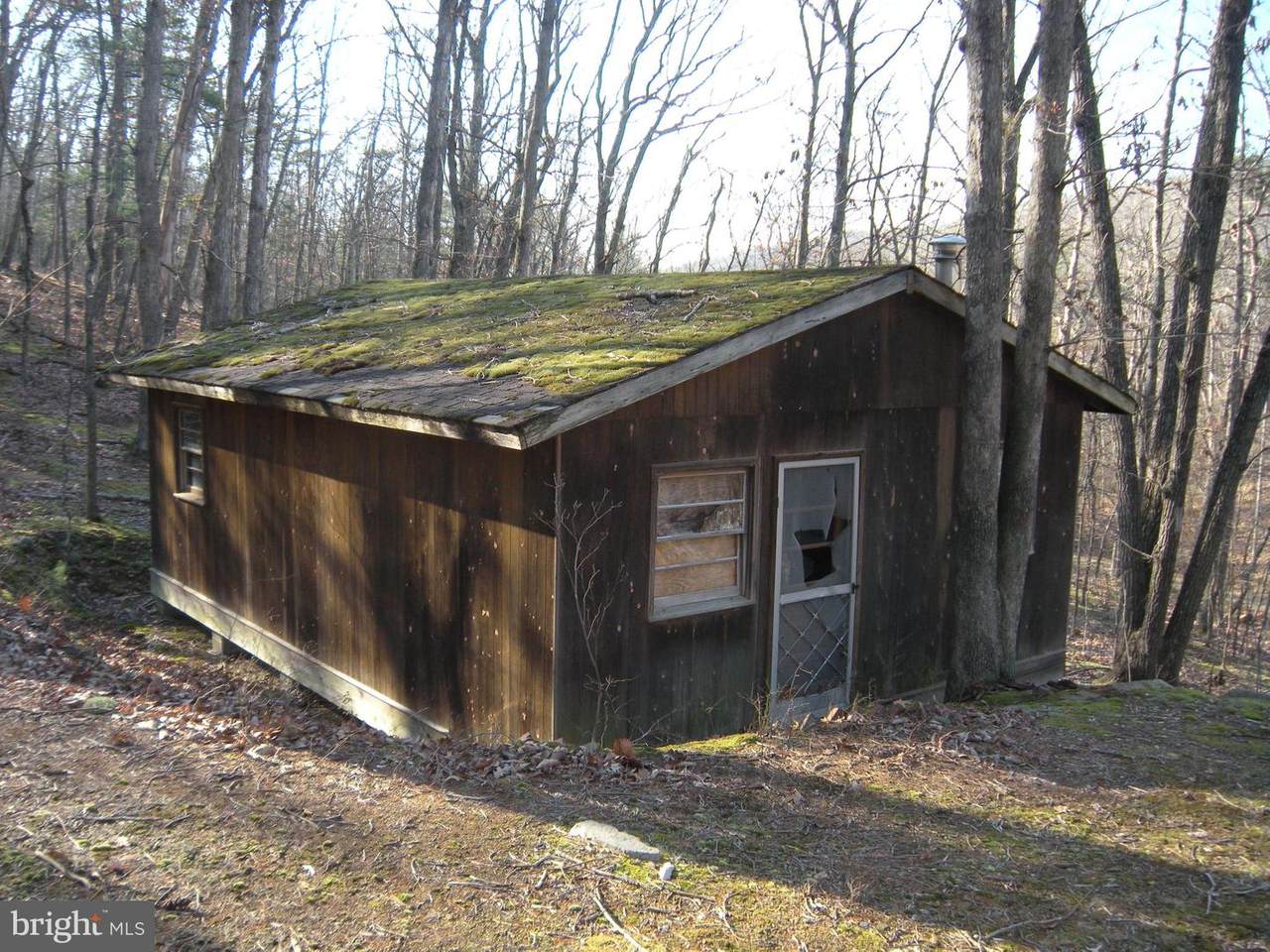 390 Snake Drive - Photo 1