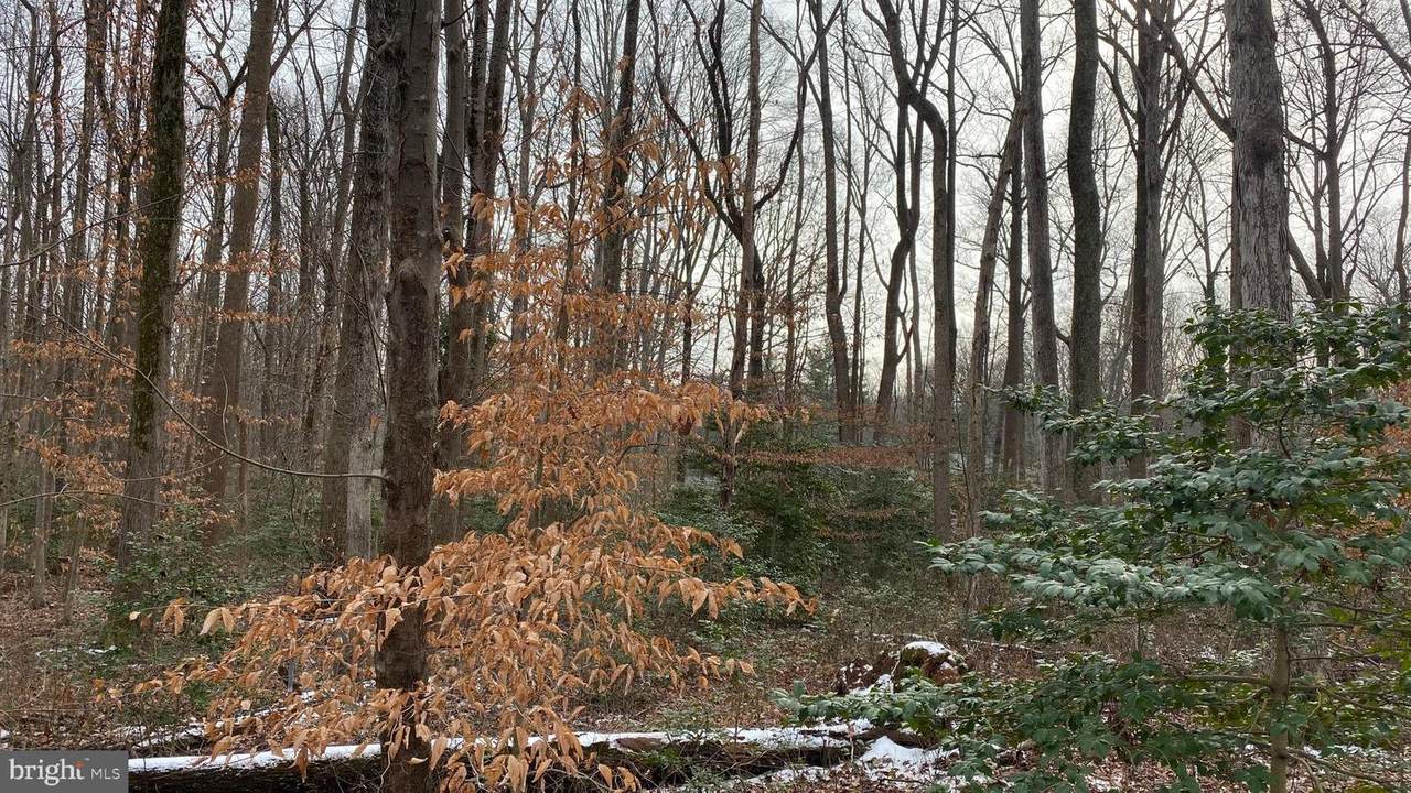 7001 Gilbeth Road - Photo 1
