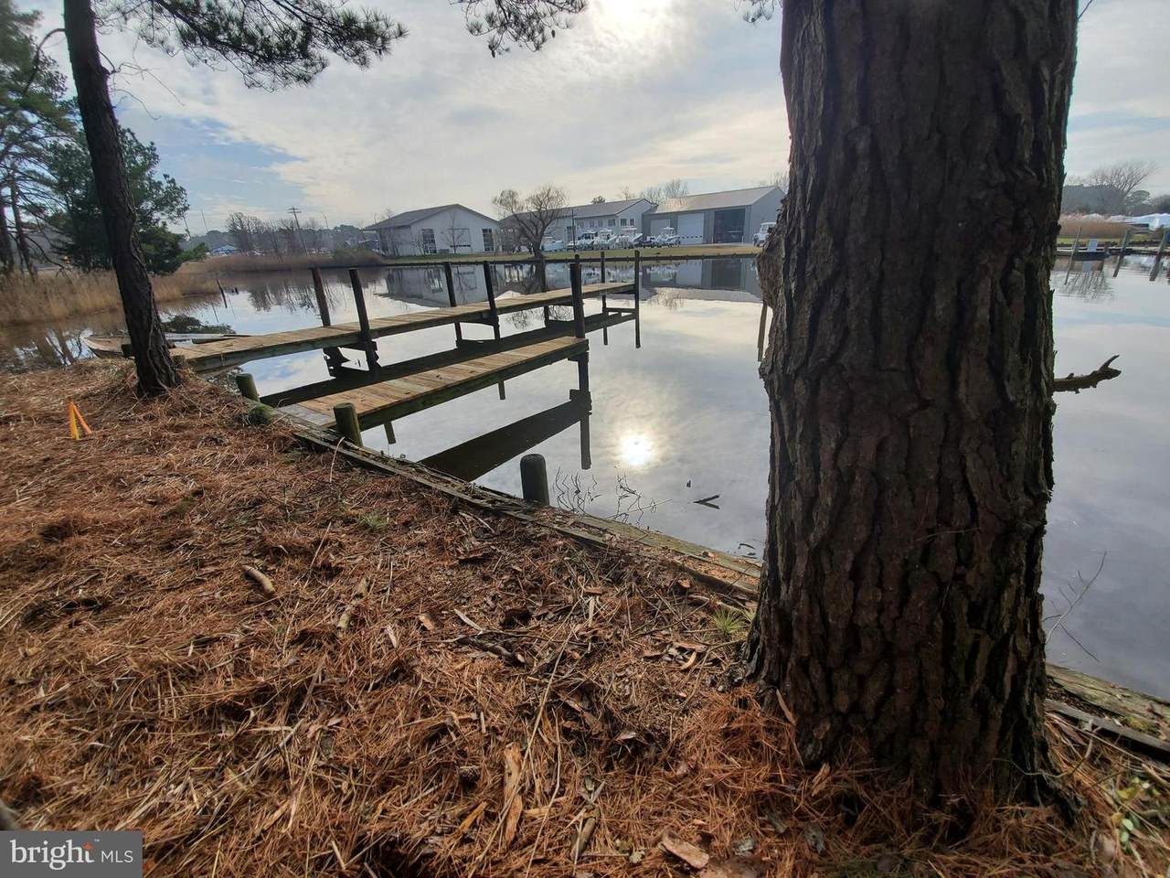 Hissey/Winchester Creek Rd - Photo 1