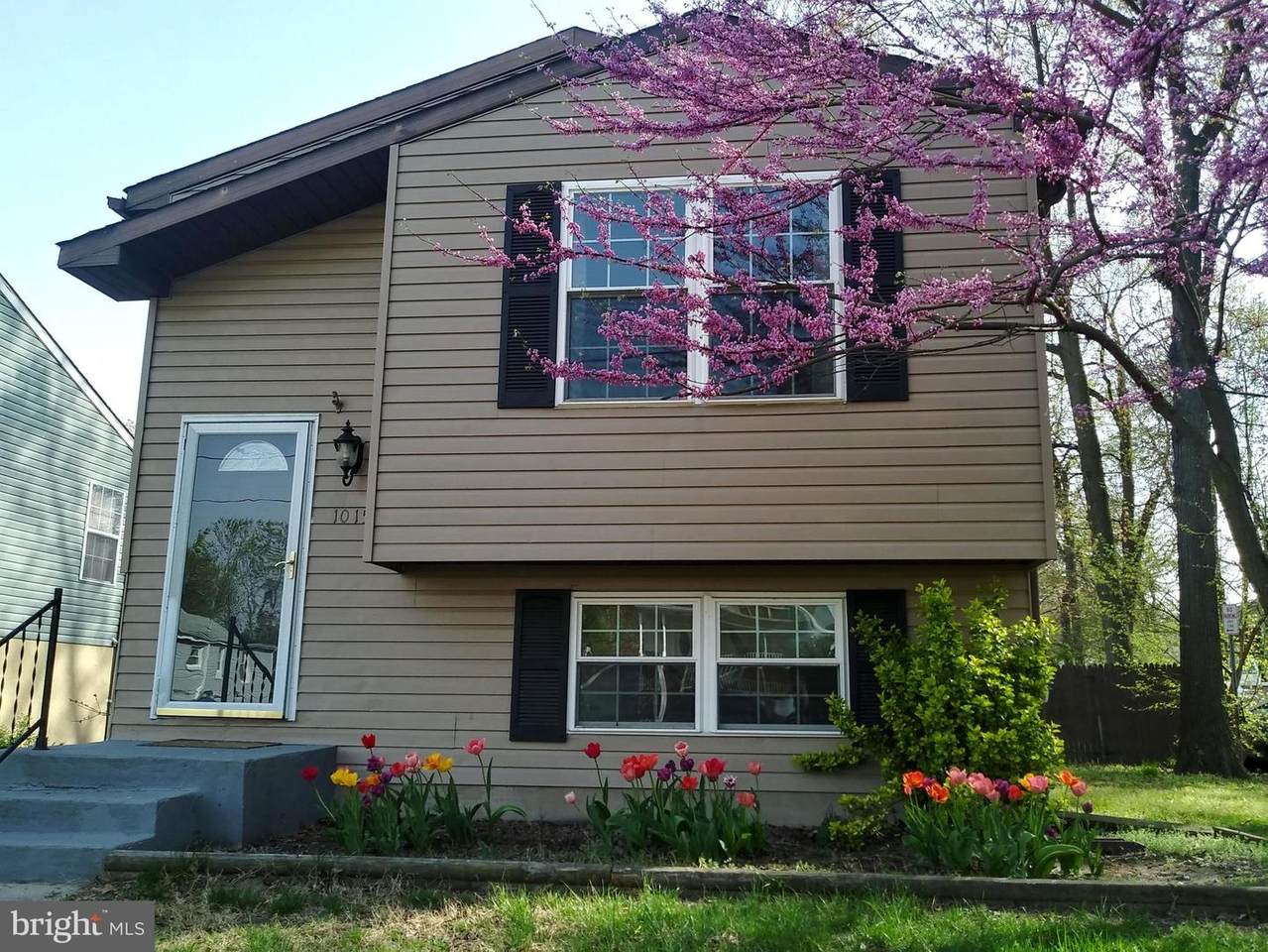 1015 4TH Street - Photo 1