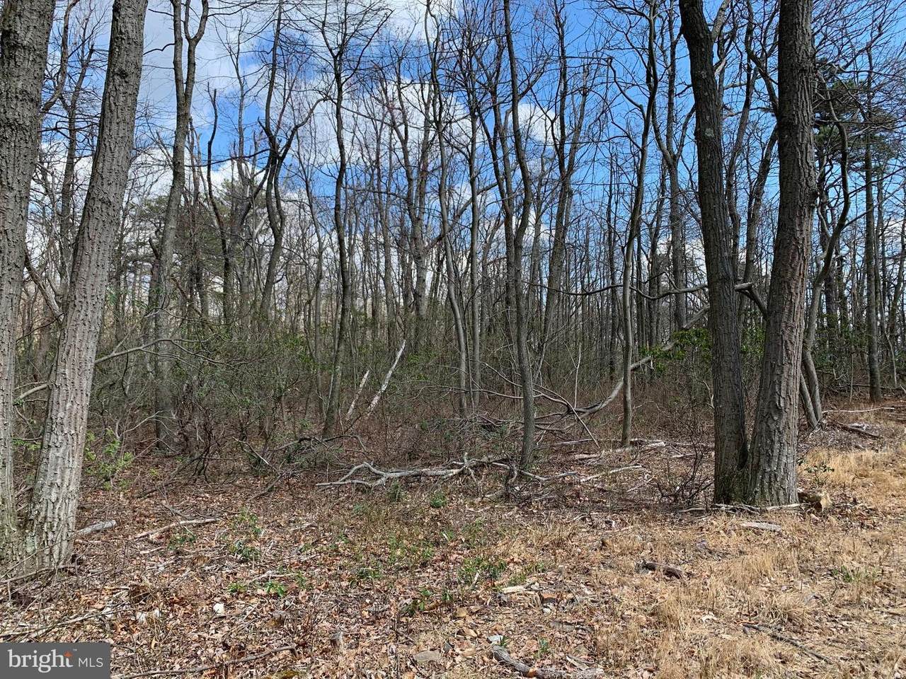 0 Endwood Trail - Photo 1