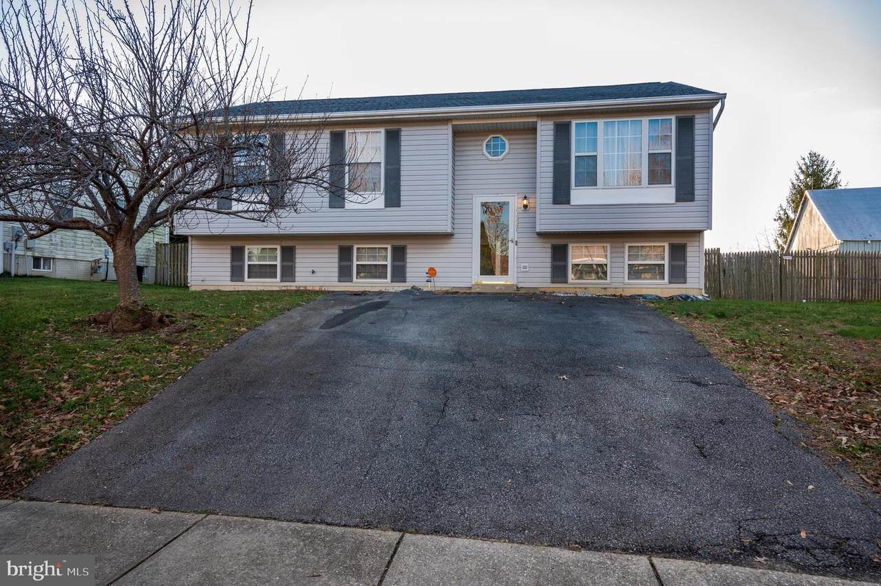 11221 Sewickley Street - Photo 1