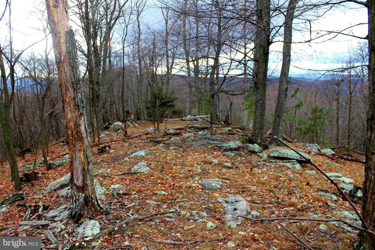 Lot 109 Peaks View Drive - Photo 1