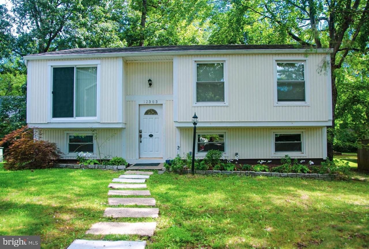 12303 Fan Shell Court - Photo 1