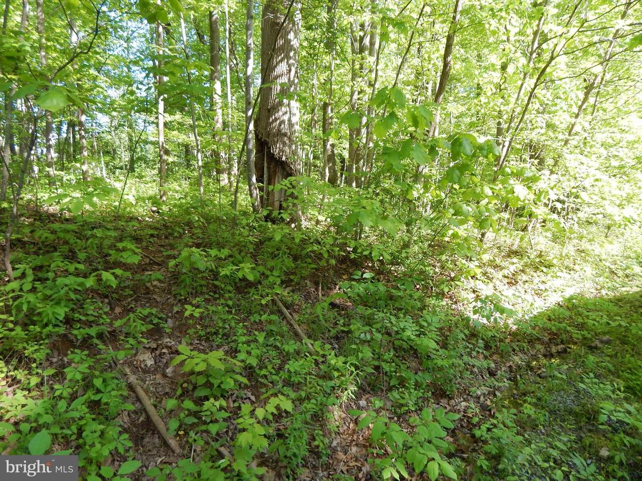 Potomac Park - Photo 1