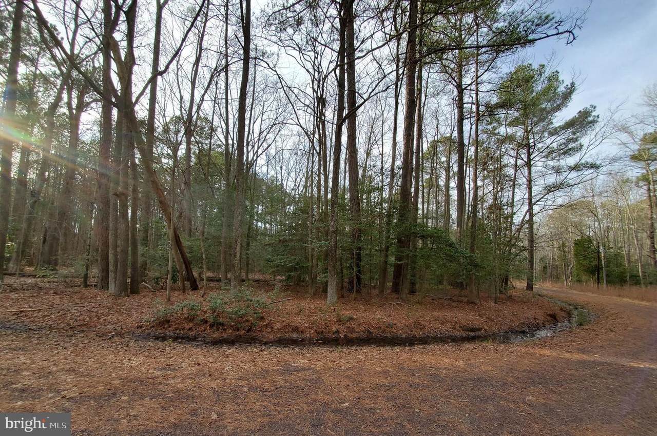 Lot 1 Circle Lane - Photo 1